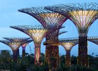 Tới thăm vườn treo năng lượng mặt trời tại Singapore
