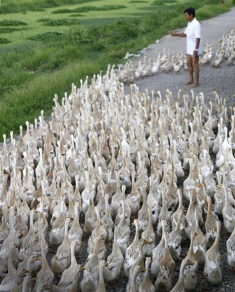 Sống đẹp l&agrave; xếp h&agrave;ng