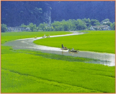 Quan điểm bảo tồn những thảm cỏ, đồng trũng tự nhi&ecirc;n.